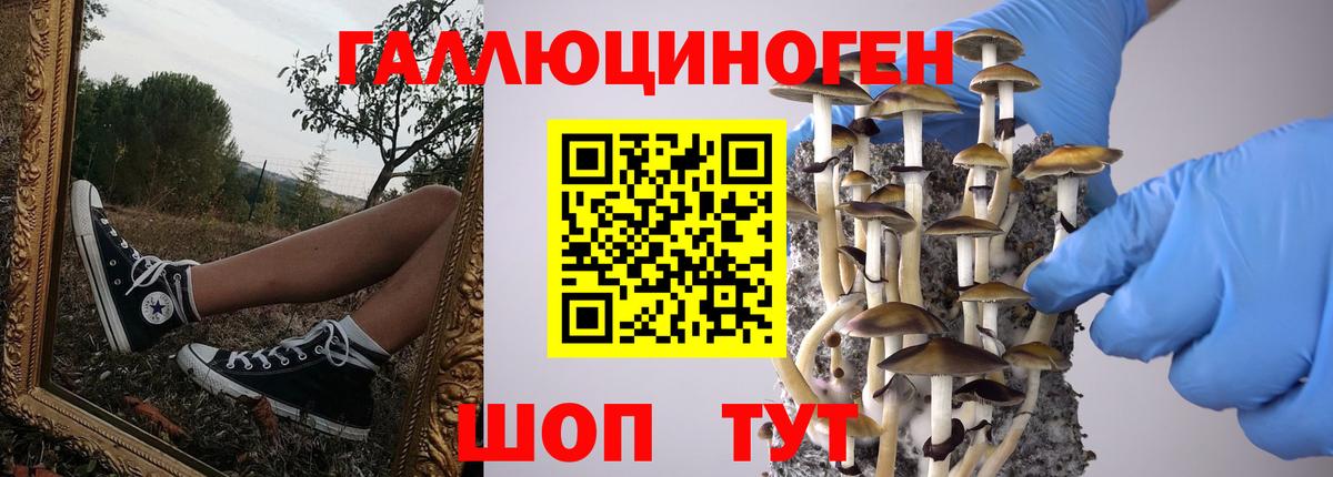 Галлюциногенные грибы прущие грибы  Вход с VPN  Тольятти 