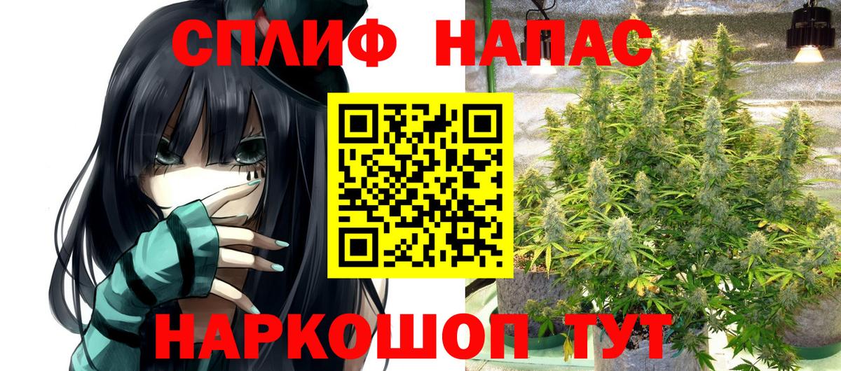 Бошки Шишки SATIVA & INDICA  Вход с VPN  Шишки марихуана MAZAR  Конопля планчик  Тольятти 